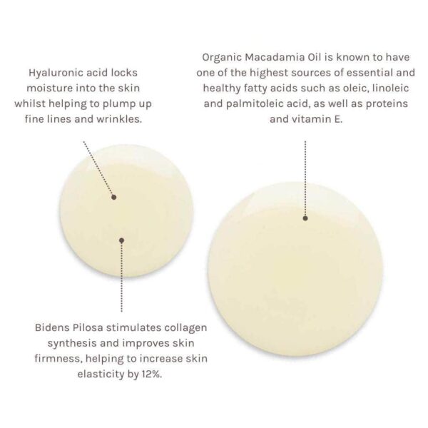 Timeless renewal Bio-Retinol Body Oil - Image 3